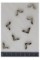 Angles papillon découpés argent (15x15mm) - Lot de 50