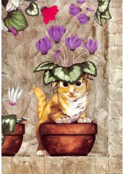 Chat dans le pot de cyclamens (45x65)*