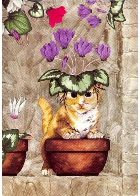 Chat dans le pot de cyclamens (45x65)*