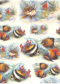 Les poissons exotiques (70x100)