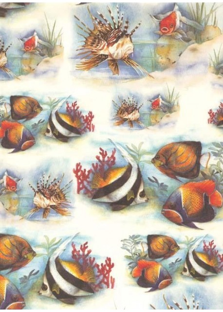 Les poissons exotiques (70x100)