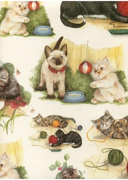 Chats et chatons (70x100)