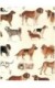 Races de chiens (70x100)