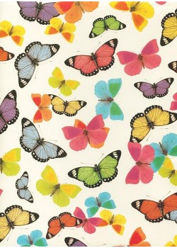 Papillons multicolores (70x100)