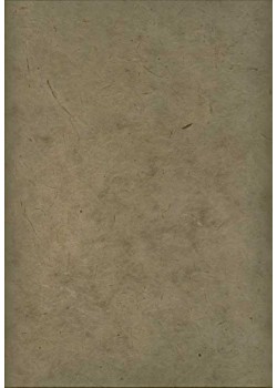 Papier lokta gris (49x69)