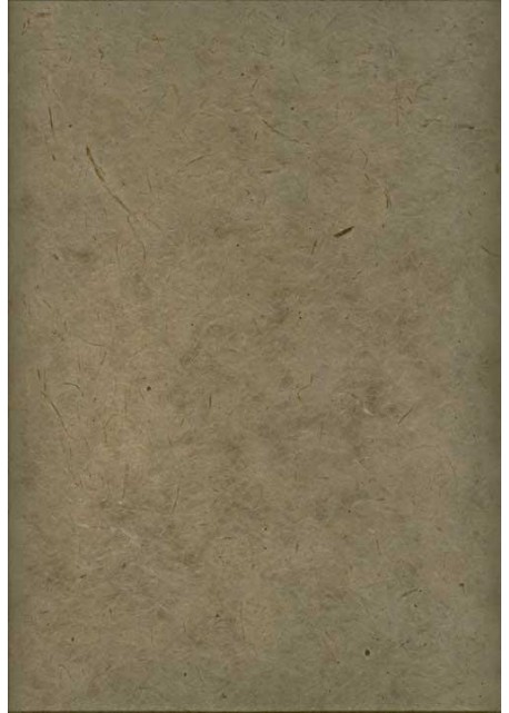 Papier lokta gris (49x69)