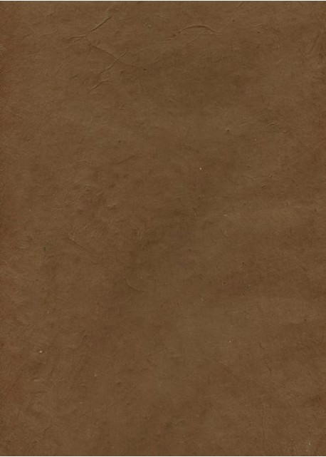 Papier lokta chocolat (49x69)