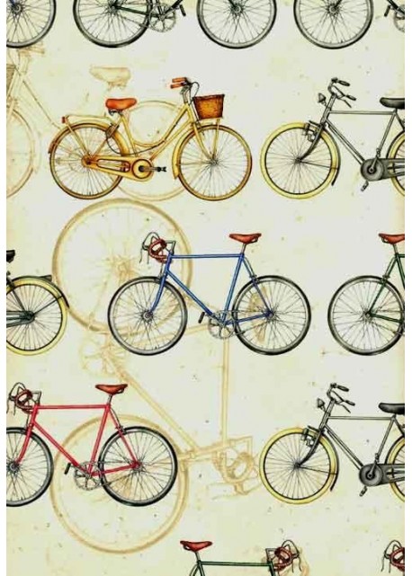 À bicyclette ... (70x100)