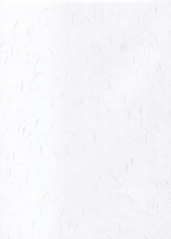 Véritable Tairei blanc flammé blanc (78x53)