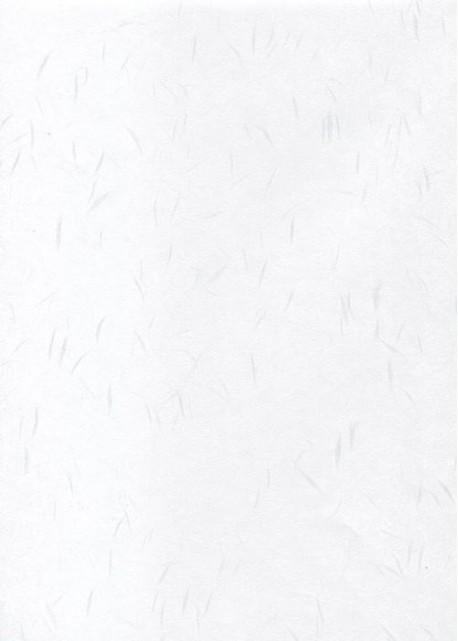 Véritable Tairei blanc flammé blanc (78x53)