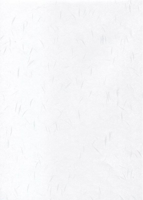 Véritable Tairei blanc flammé blanc (78x53)