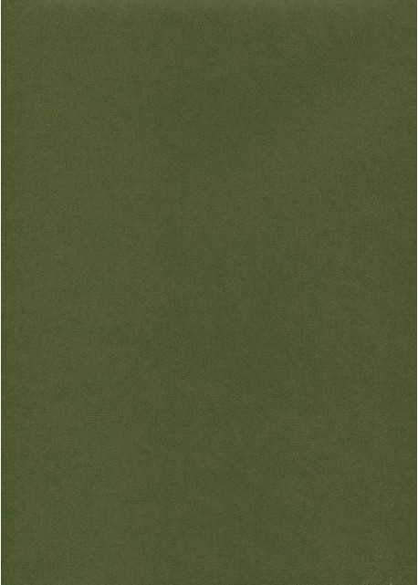 Effalin "grain toilé" vert (70x100)