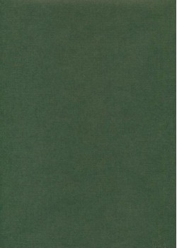 Effalin "grain toilé" vert sapin (70x100)