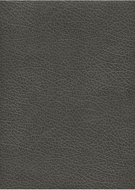 Simili cuir Skivertex "Chevreau" gris foncé.