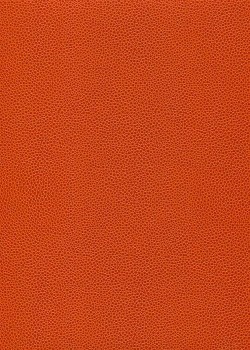 Simili cuir Skivertex "Gros Galuchat" orange