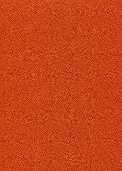 Simili cuir Skivertex "Gros Galuchat" orange