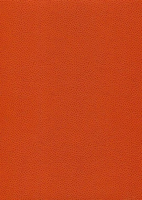 Simili cuir Skivertex "Gros Galuchat" orange
