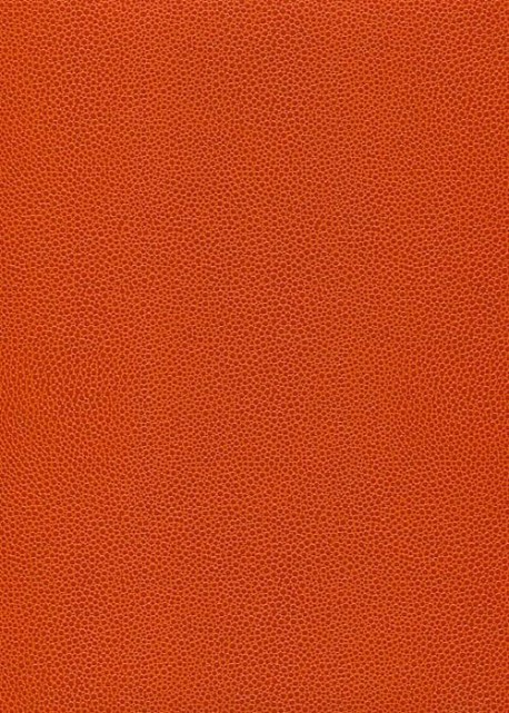 Simili cuir Skivertex "Gros Galuchat" orange