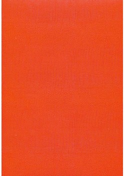 Skivertex "Lézard" orange