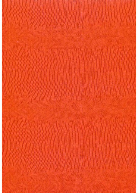 Skivertex "Lézard" orange.