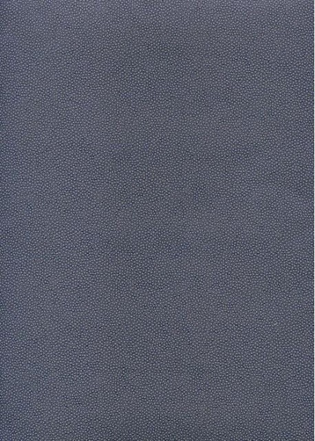 Skivertex "Mini Galuchat" bleu violacé