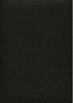Skivertex "Mini Galuchat" noir