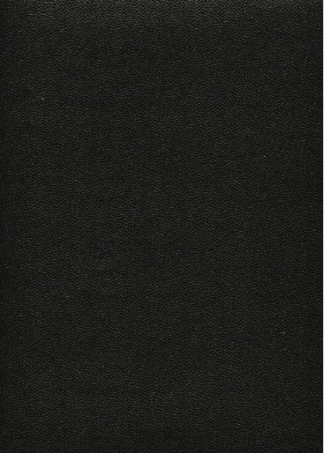 Skivertex "Mini Galuchat" noir