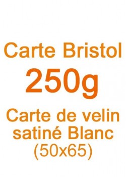 Carte Bristol (250g) 50x65cm