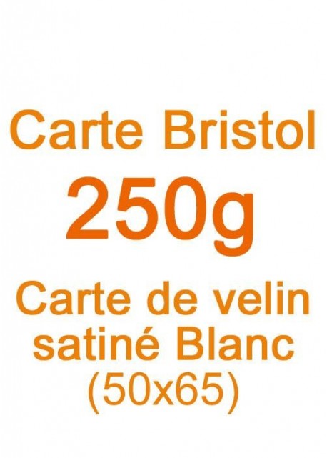 Carte Bristol (250g) 50x65cm