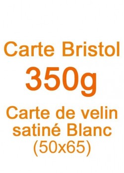 Carte Bristol (350g) 50x65