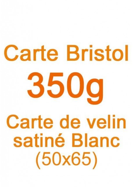 Carte Bristol (350g) 50x65