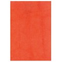 Papier lokta paprika (49x69)