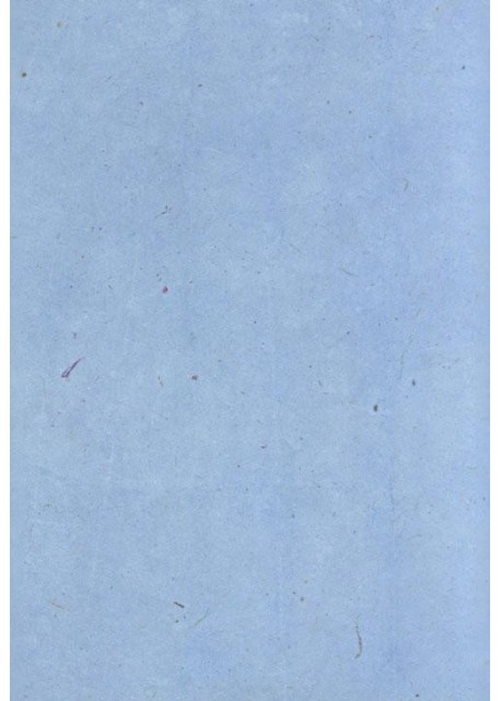 Papier lokta bleu glacier (49x69)