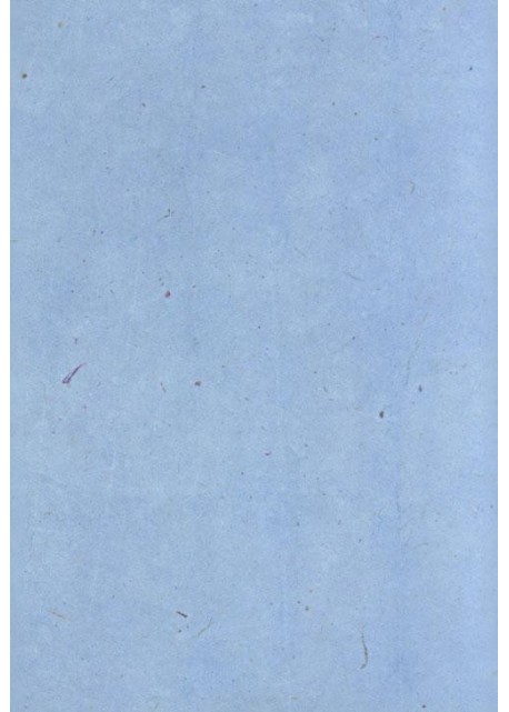 Papier lokta bleu glacier (49x69)