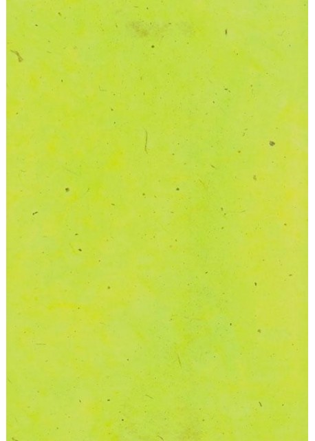 Papier lokta vert wasabi (49x69)
