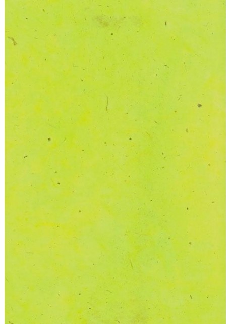 Papier lokta vert wasabi (49x69)