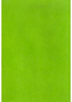 Papier lokta vert anis (49x69)