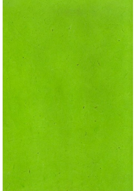Papier lokta vert anis (49x69)