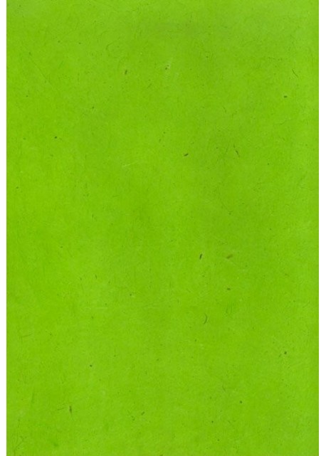 Papier lokta vert anis (49x69)