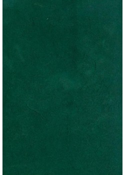 Papier lokta vert forêt (49x69)