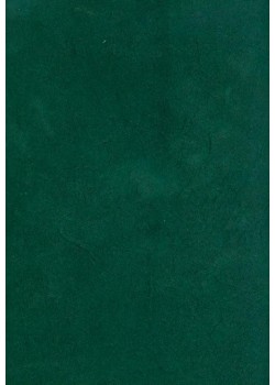 Papier lokta vert forêt (49x69)