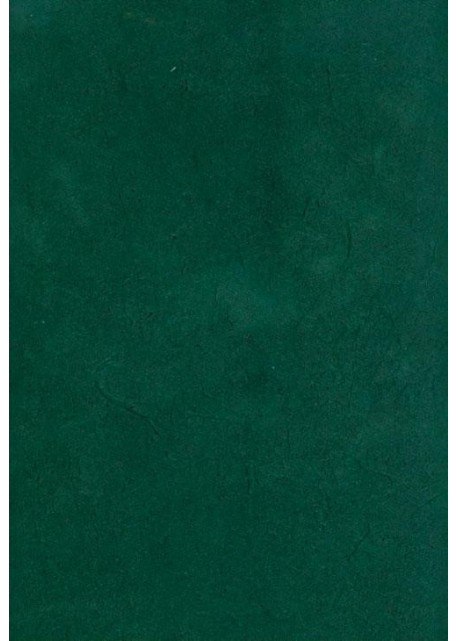 Papier lokta vert forêt (49x69)