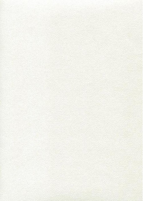 Skivertex "Mini Galuchat" blanc