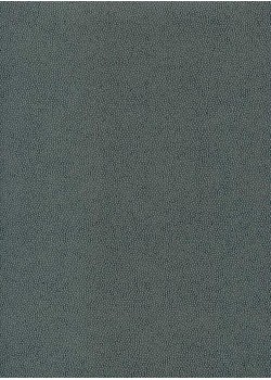 Skivertex "Mini Galuchat" gris