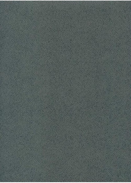 Skivertex "Mini Galuchat" gris