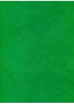 Papier lokta chlorophylle (49x69)