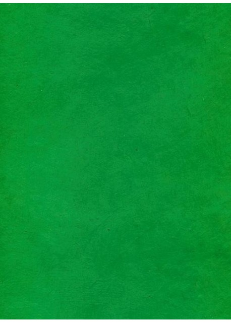 Papier lokta chlorophylle (49x69)