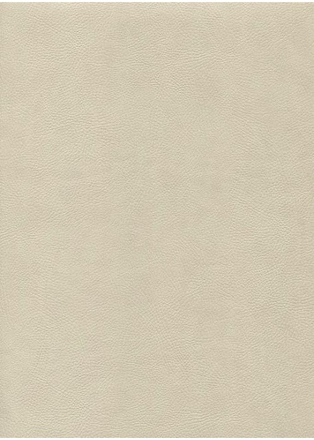 Simili cuir "Buffalo" mastic (70x100).