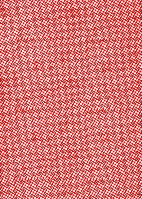 Véritable Yuzen (52x65.5) N°02-1