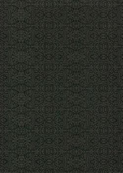 Miniature noir fond noir (50x70)